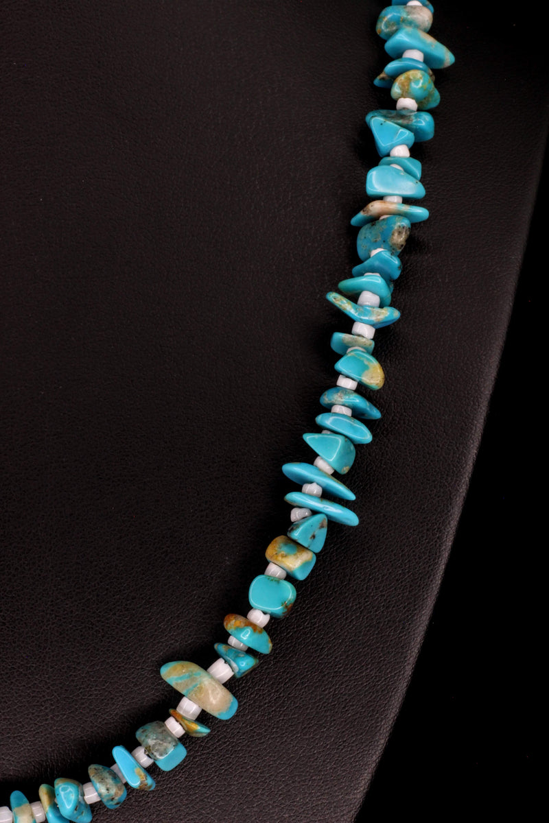 Sky Shell Serenity – Navajo Traditional Teachings