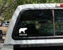 Load image into Gallery viewer, Bear (Shash)