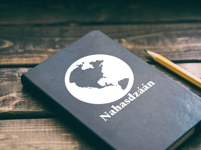 Earth (Nahasdzáán)