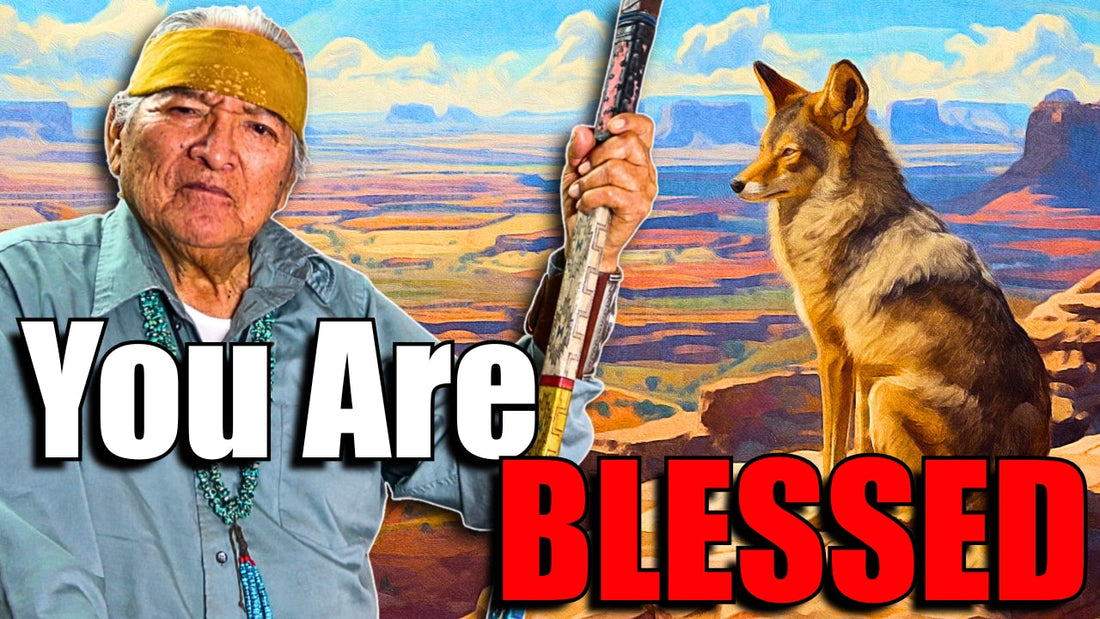 The Holy People Blessed Coyote... The Holy People Blessed YOU! Navajo Traditional Teachings