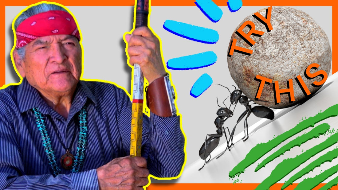 Sacred Lessons: Navajo Teachings for Enduring Disappointments