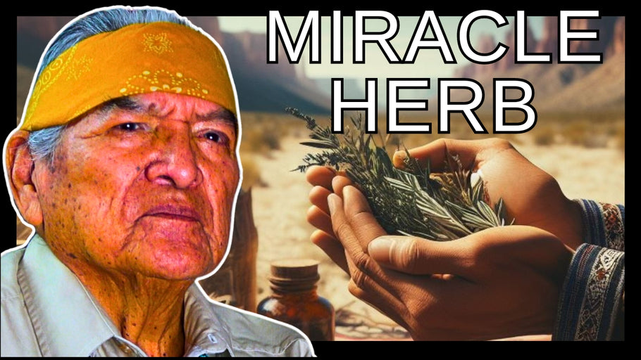 Our Navajo people Used this herb for Many different Ailments in The Traditional Teachings