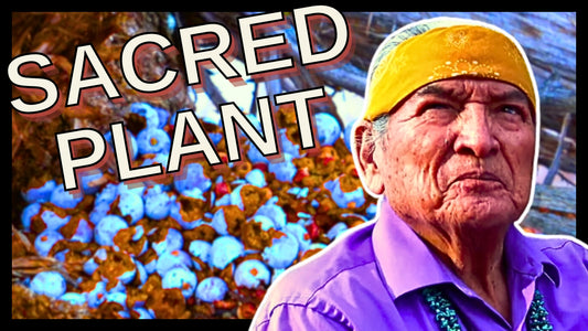 Our Navajo People Use This Plant For Many Different Things.