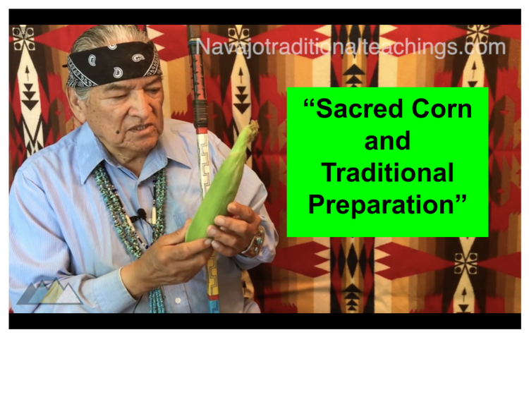 Sacred Corn – Navajo Traditional Teachings