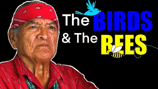 Navajo Teachings About Reproduction and Life