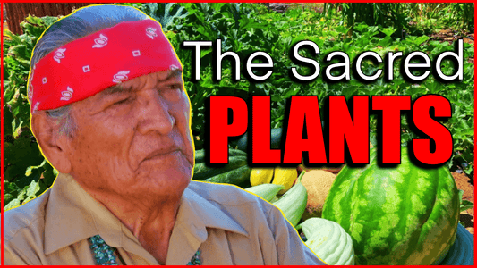 Navajo Sacred Plants