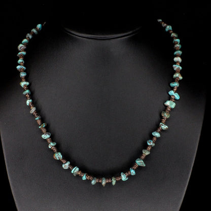 Baby Olive Shell Turquoise Choker