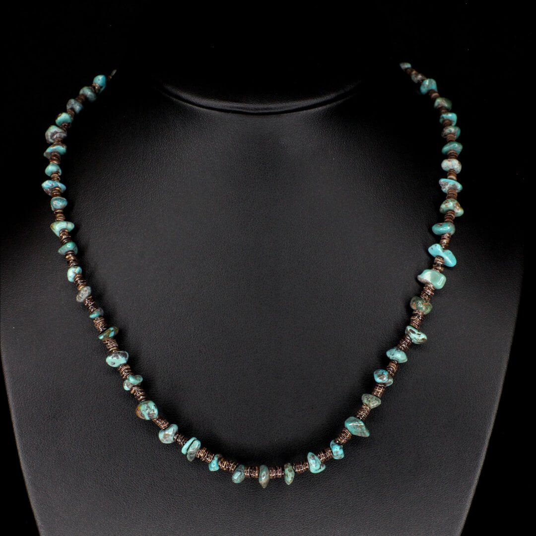 Baby Olive Shell Turquoise Choker