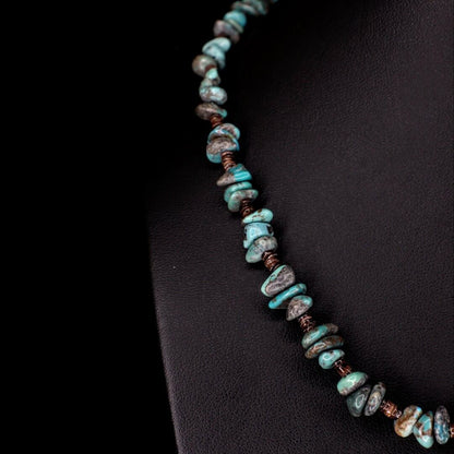 Turquoise Baby Olive Shell Choker