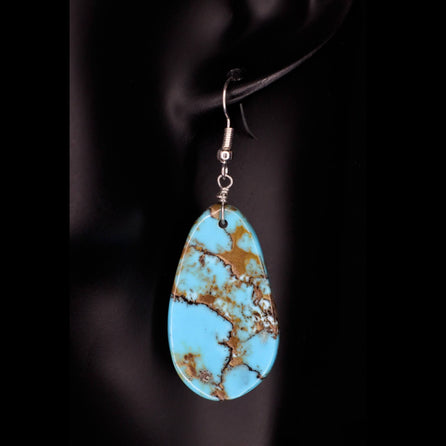 Canyon Crossing Earrings