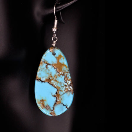Canyon Crossing Earrings