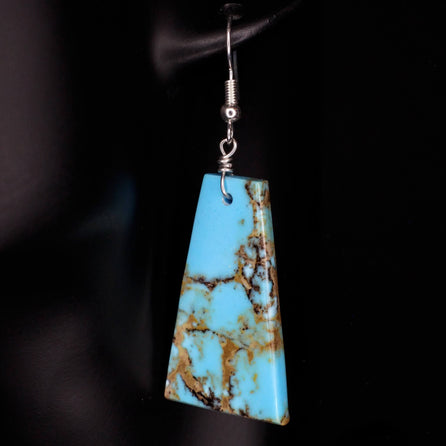 Open Country Earrings