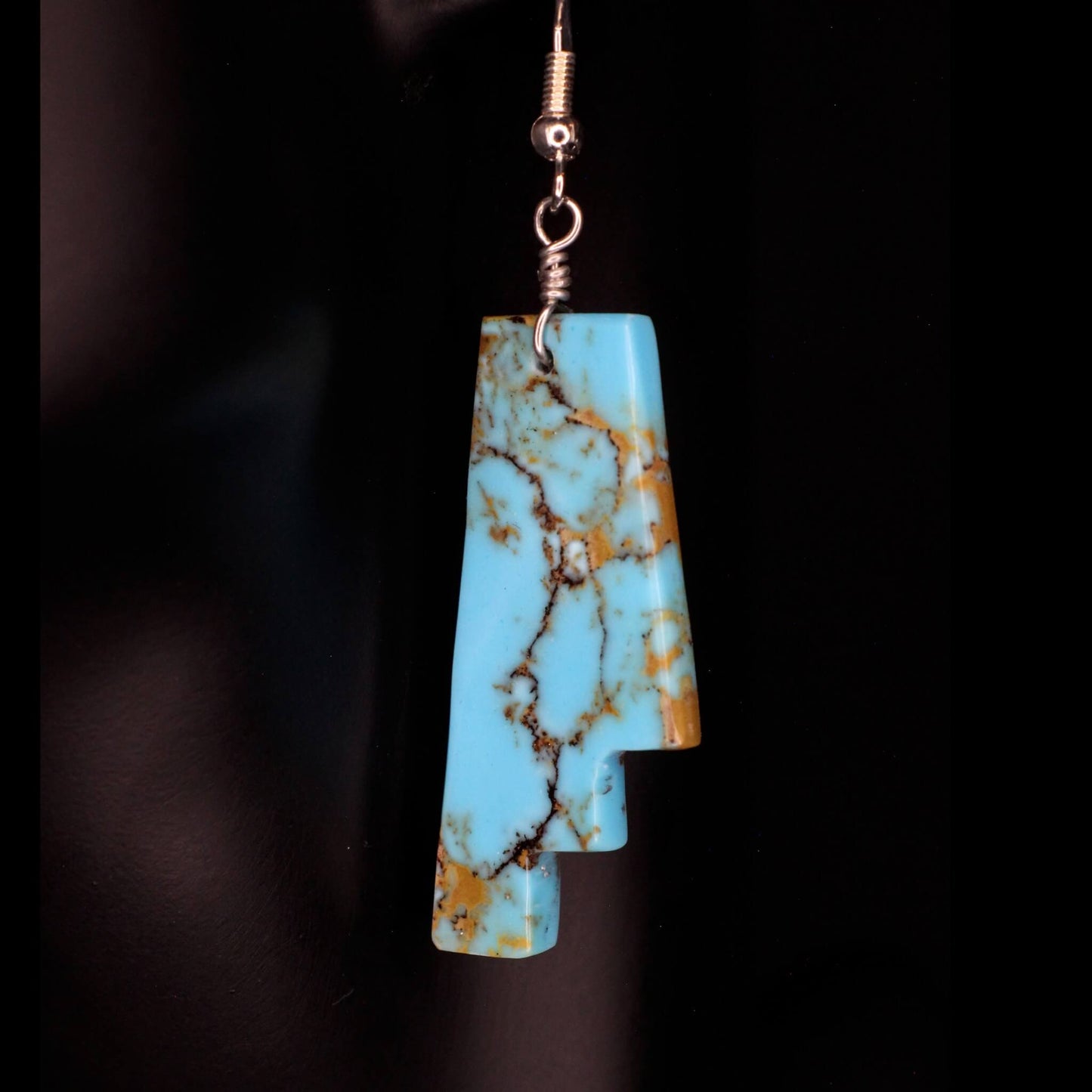 Painted Rim Earrings