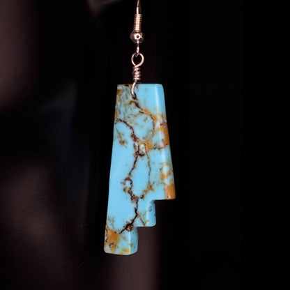 Painted Rim Earrings