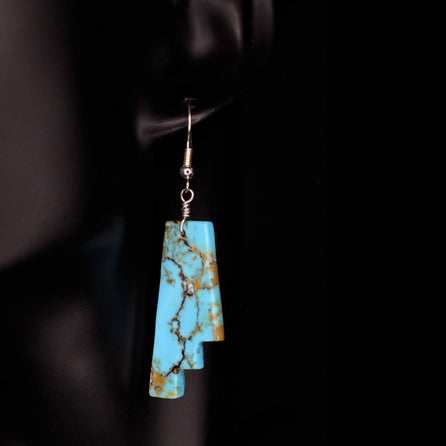 Painted Rim Earrings