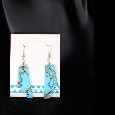 Painted Rim Earrings