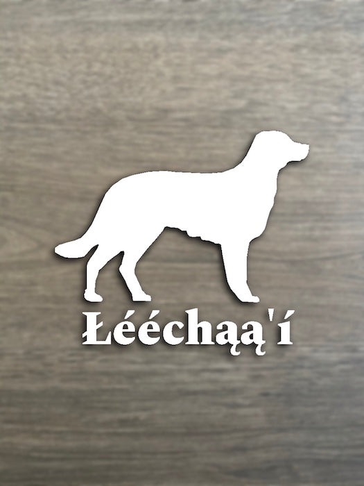 Dog (Łééchąą'í)